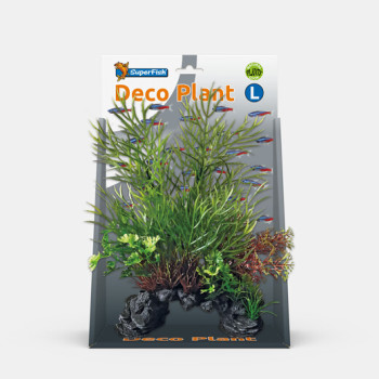 DECO PLANT CERATOPTERIS